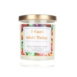 Cedar Mountain Candle Candles I Can't Adult Today Soy Candle