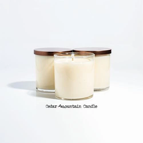 Cedar Mountain Candle Grinch Christmas Undelivery 9 Oz Jar Soy Candle - Winter Scents Candles 2 Cedar Mountain Candle Grinch Christmas Undelivery 9 Oz Jar Soy Candle - Winter Scents Candles