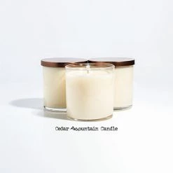 Cedar Mountain Candle Elf Ninnymuggins 9 Oz Jar Soy Candle - Winter Scents
