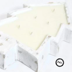 Cedar Mountain Candle Candles 5 Wick White Wood Christmas Tree Bowl Candle - Flannel