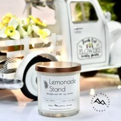 Cedar Mountain Candle 9 Oz Soy Candle - Farmhouse Collection