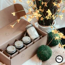 Cedar Mountain Candle Spring & Summer Mini Mason Jar Candle Set - Set Of 4